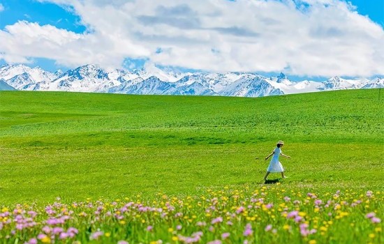 享趣伊犁8日游（头等舱）&mdash;赛里木湖 昭苏夏塔 库尔德宁 伊昭公路 独库公路  那拉提空中草原 唐布拉 