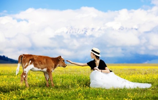 独趣北疆10日游（1+1头等舱车辆 3晚住景区）&mdash;独库公路 喀纳斯 禾木 五彩滩 魔鬼城 赛里木湖 那拉提草原 唐布拉草原