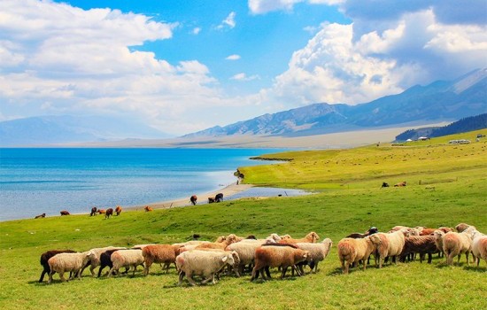 伊犁小环线6日游（伊宁起止）&mdash;昭苏夏塔古道 琼库什台 喀拉峻草原 赛里木湖 果子沟大桥 六星街
