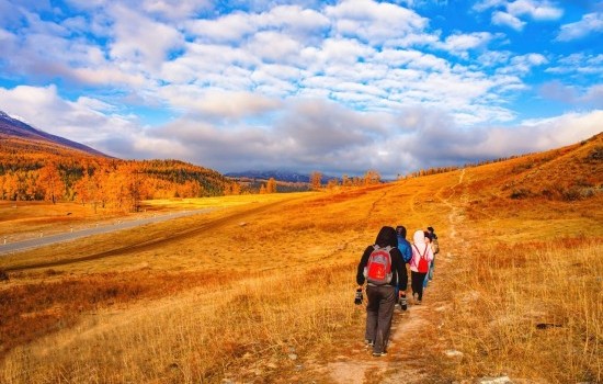 北疆秋韵7日游- 白哈巴 禾木 喀纳斯湖 卧龙湾 月亮湾 神仙湾  阿禾公路 S21沙漠高速 五彩滩